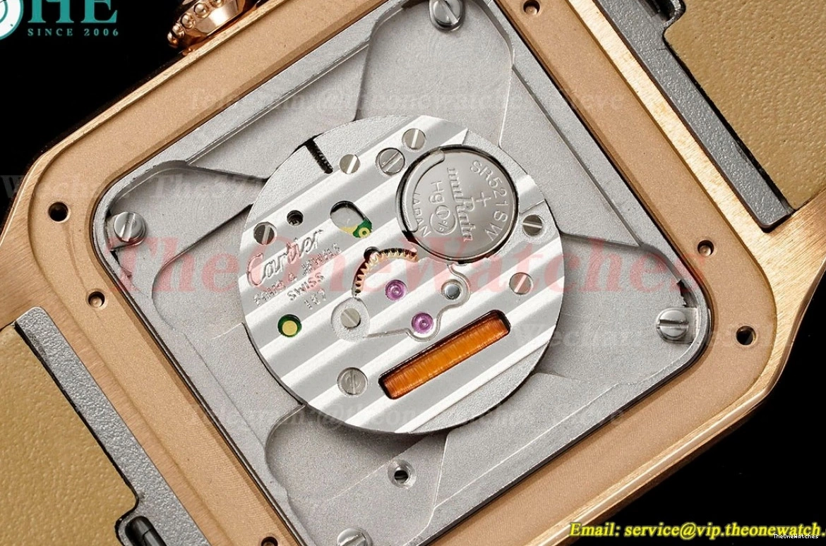 Dumont Dial Silver Brown Santos Quartz LE RG AF Dia 0313